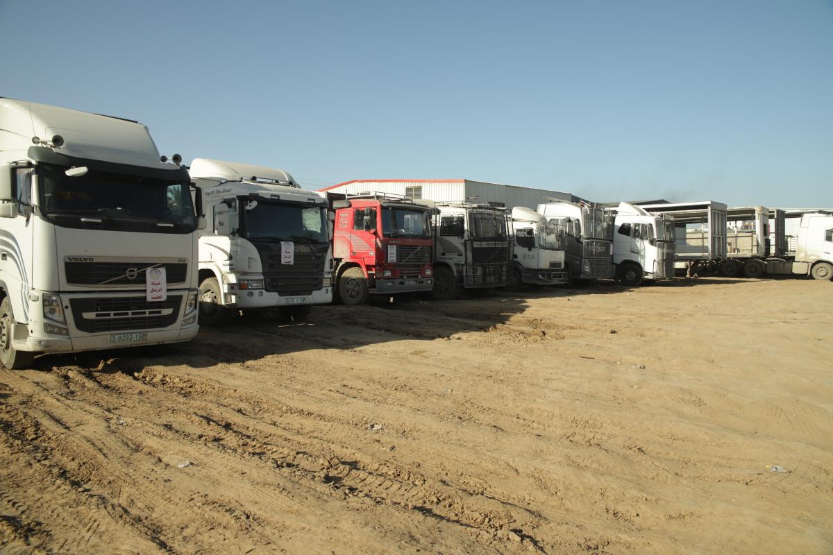 الخدمات اللوجستية وأمن الشاحنات في غزة: دقة متناهية في بيئة معقدة